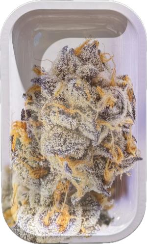 מגש וי סינדיקייט גדול פרח לבן