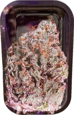 מגש וי סינדיקייט גדול פרח סגול