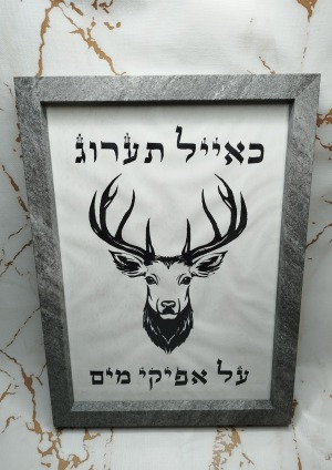 כאייל תערג