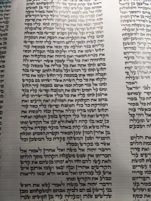 ספר תורה ספרדי מהודר