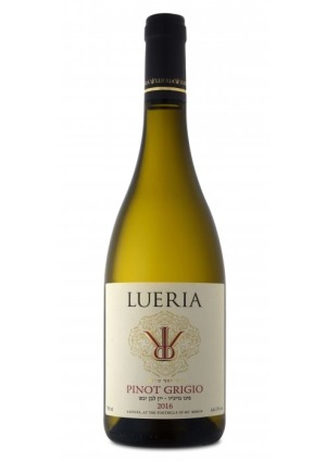 יין לבן לוריא פינו גריג'יו