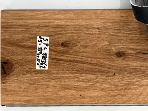 5500 - צבע 11