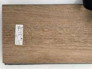 5500 - צבע 10
