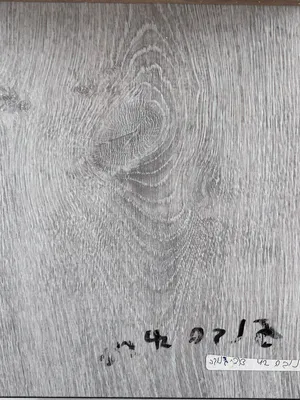 דודי 42 - צבע 11