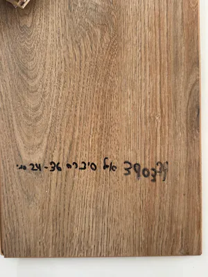 4955 - צבע 5