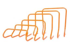 משוכות אימון