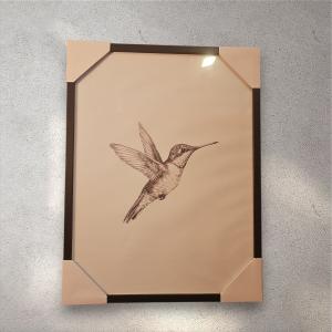 תמונה יונק הדבש