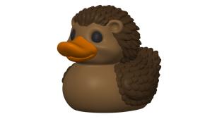 ברווז קיפוד