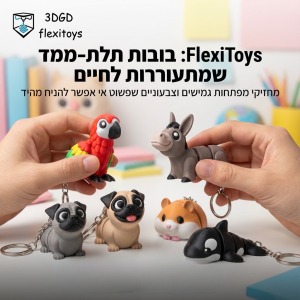 מארז מחזיקי מפתחות FLEXI