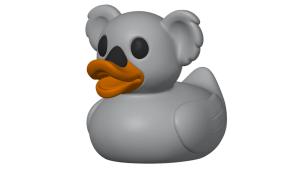 ברווז קואלה