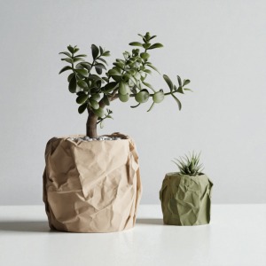 אגרטל בטקסטורת קרטון מקומט🪴