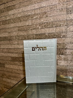 תהילים דגם "הכותל" כסף