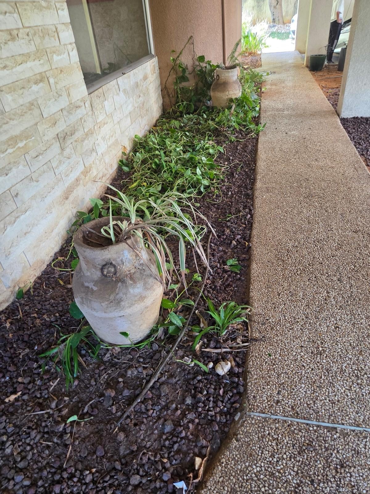 עבודת ניקיון ואחזקה