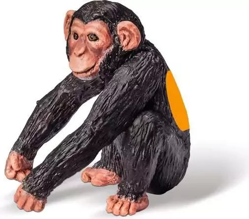 פאזל 500 חל' - זברה ליד מקווה מים