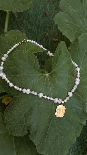 שרשרת charm